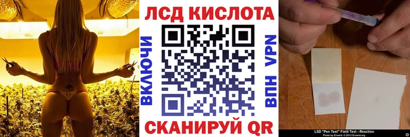 где найти наркотики сайты даркнета наркотические препараты Наркотические марки 1500мкг Унеча
