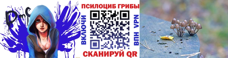 Галлюциногенные грибы MAGIC MUSHROOMS Унеча