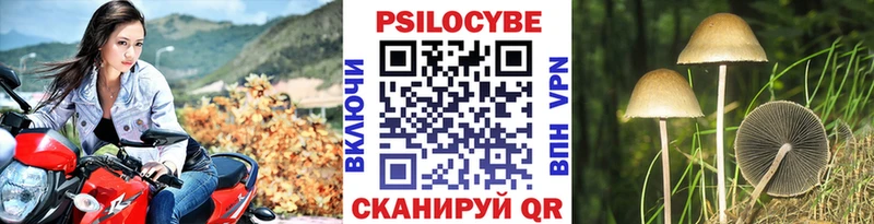 Галлюциногенные грибы прущие грибы  Унеча 